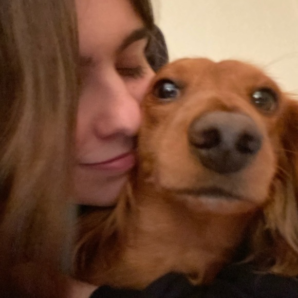 Meet your Posher, M - Picture 1 of 1